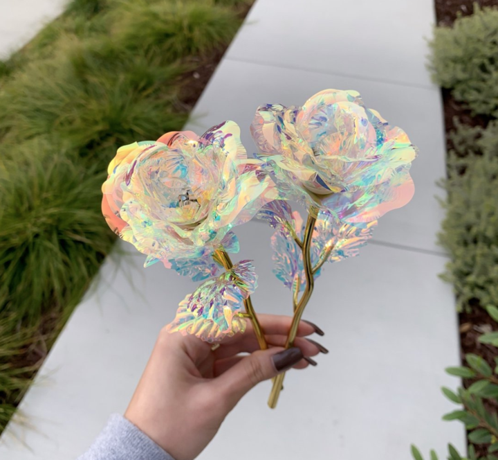 Galaxy Rose