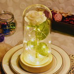 Glass Galaxy Rose