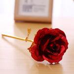 24K Golden Rose