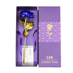 24K Golden Rose
