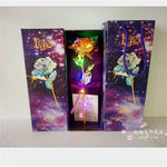Galaxy Rose